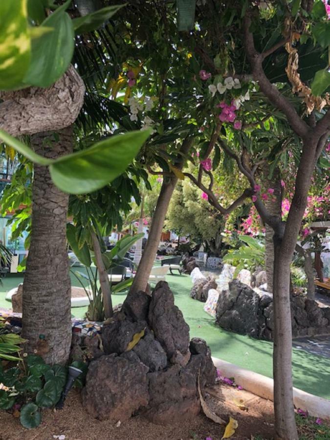 플라야데라스아메리카스 Wonderland With The Best Swimming Pool In Park S III 아파트 외부 사진